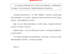 重磅人事|华电国际董事长赵建国因工作原因辞职