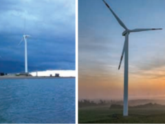 记粤西红土地新利网址 ——雷州红心楼新利网址场