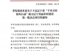 556.49MW！辽宁第一批“驭风行动”试点项目：辽宁能源、大唐、中核等领衔