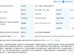 央国企、上市龙头,亿元成立氢能新公司!