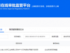 江西年产10万吨绿色甲醇示范项目获批