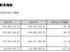 放弃光伏后,这家企业又“活”过来了