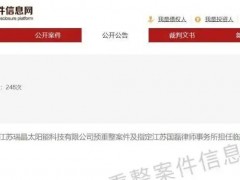 江苏一TOPCon电池企业申请预重整